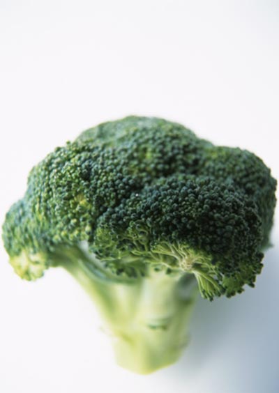 ブロッコリーも体を守ってくれる野菜